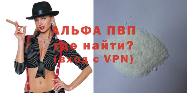ECSTASY Ладушкин