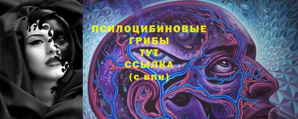 стафф Майский