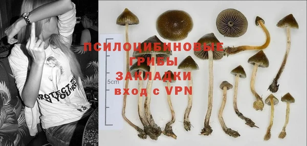 прущие крисы Липки